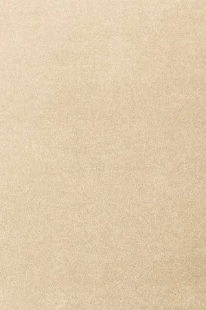 Ковровое покрытие AW Oinone 34 - (5м) в Нижнекамске