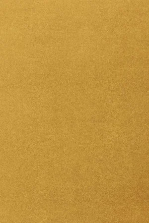 Ковровое покрытие AW Oinone 54 - (4м) в Нижнекамске