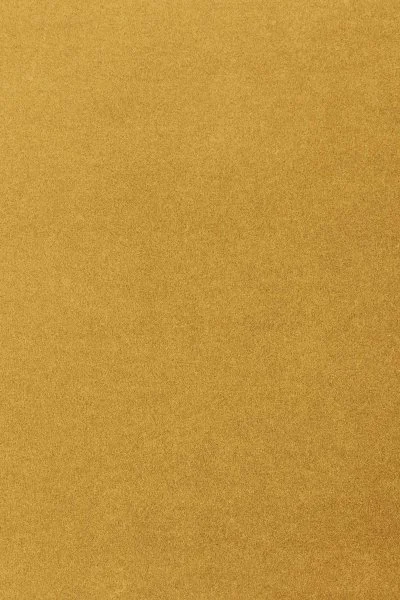 Ковровое покрытие AW Oinone 54 - (5м) в Нижнекамске