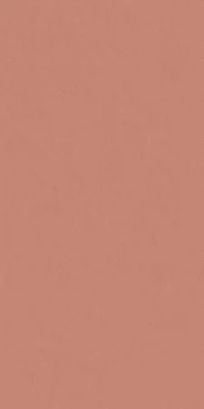 Керамогранит Italon Серфейс Скарлетт (Патинированная, 60x120) в Нижнекамске