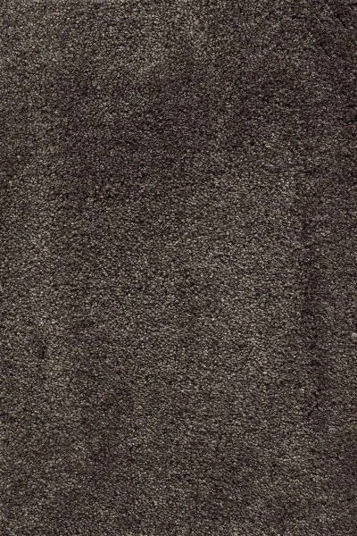 Ковровое покрытие AW Fedone 44 - (5м) в Нижнекамске