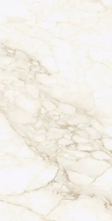 Керамогранит Coliseum Микеланджело Ворм 60х120 (Натуральный и Реттифицированный) в Нижнекамске