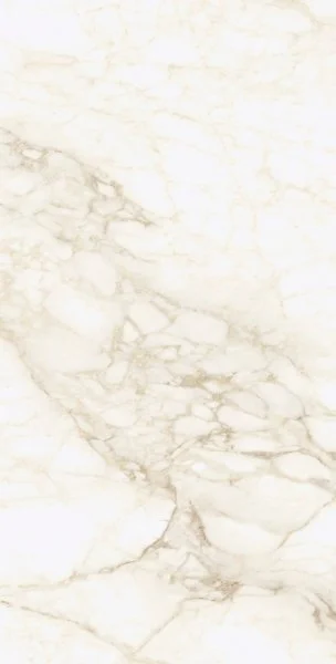 Керамогранит Coliseum Микеланджело Ворм 60х120 (Натуральный и Реттифицированный) в Нижнекамске