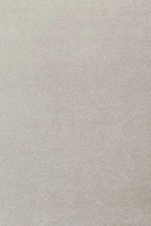 Ковровое покрытие AW Oinone 92 - (4м) в Нижнекамске