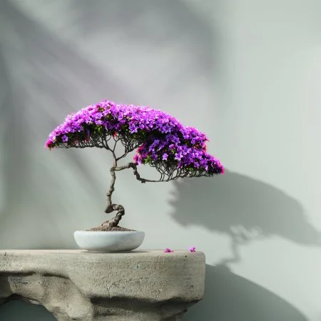 Обои Loymina Lotus LOT1 112 в Нижнекамске