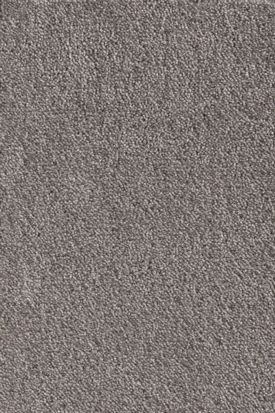 Ковровое покрытие AW Messalina 49 - (5м) в Нижнекамске