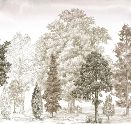 Обои Loymina Пейзаж vol. 2 ART14 012 в Нижнекамске