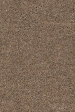 Ковровое покрытие AW Euphoria 36 - (5м) в Нижнекамске