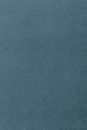 Ковровое покрытие AW Oinone 74 - (4м) в Нижнекамске