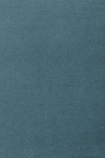 Ковровое покрытие AW Oinone 74 - (5м) в Нижнекамске