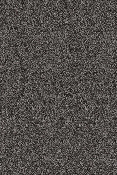 Ковровое покрытие AW Messalina 99 - (5м) в Нижнекамске