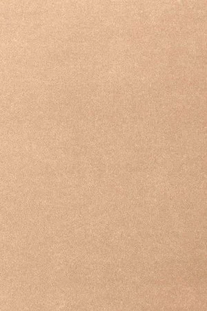 Ковровое покрытие AW Oinone 08 - (4м) в Нижнекамске