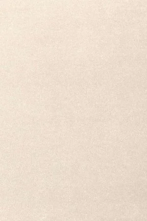 Ковровое покрытие AW Oinone 03 - (4м) в Нижнекамске