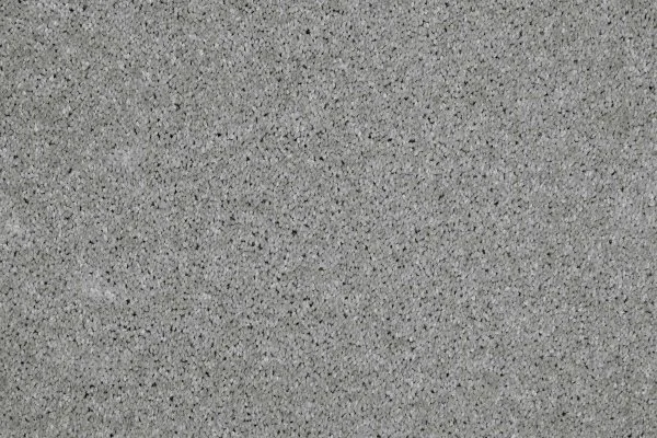 Ковровое покрытие AW Gala 90 - (4м) в Нижнекамске