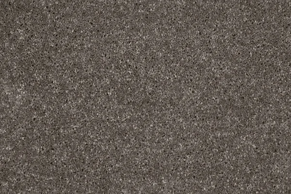 Ковровое покрытие AW Gala 49 - (4м) в Нижнекамске