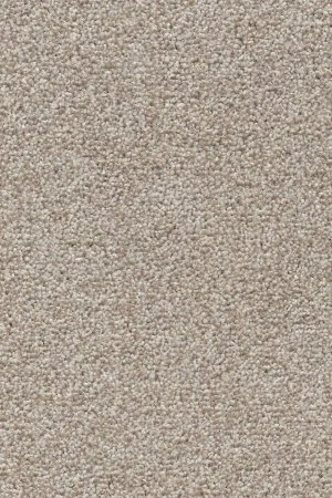 Ковровое покрытие AW Stainguard Harvest 04 - (4м) в Нижнекамске