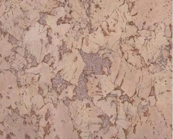 Настенное пробковое покрытие CorkArt PW 324 NK в Нижнекамске