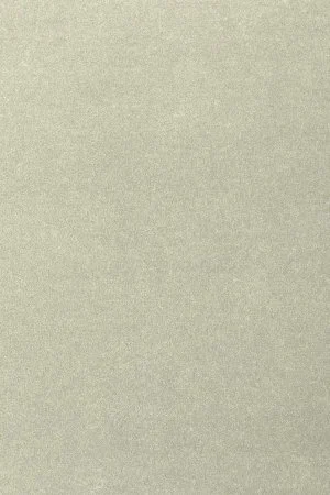 Ковровое покрытие AW Oinone 02 - (4м) в Нижнекамске