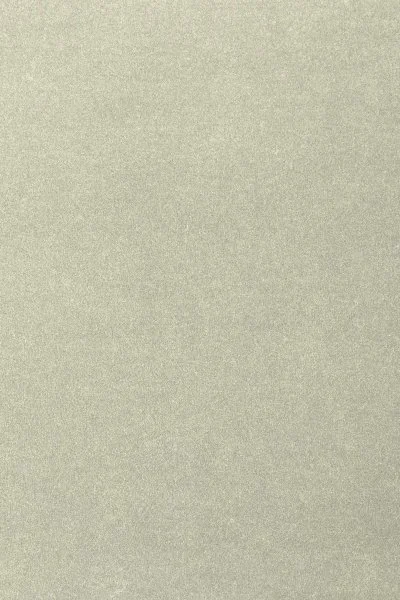 Ковровое покрытие AW Oinone 02 - (4м) в Нижнекамске