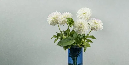 Обои Loymina Shade vol.2 SDR5, 001 в Нижнекамске