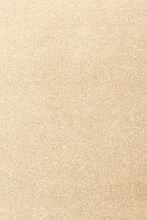 Ковровое покрытие AW Oinone 33 - (5м) в Нижнекамске