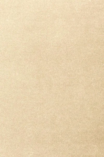 Ковровое покрытие AW Oinone 33 - (4м) в Нижнекамске