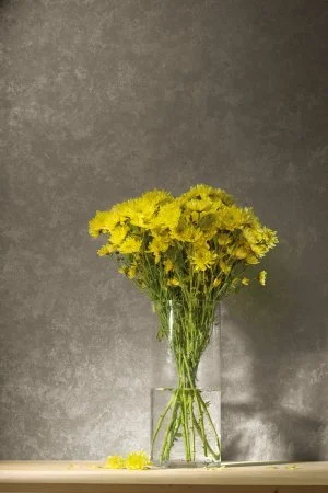 Обои Loymina Golden Library TDG 7, 008 в Нижнекамске