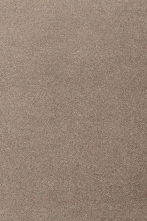 Ковровое покрытие AW Oinone 49 - (5м) в Нижнекамске