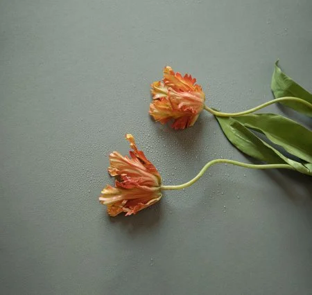 Обои Loymina Russian Classic Ru10, 006 в Нижнекамске