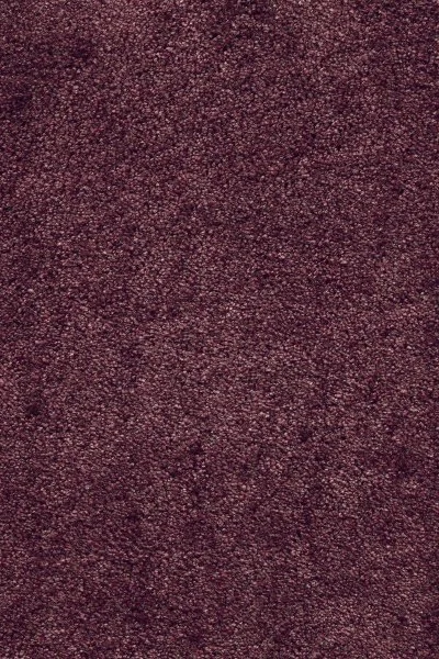 Ковровое покрытие AW Fedone 19 - (5м) в Нижнекамске