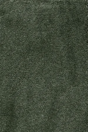 Ковровое покрытие AW Fedone 24 - (5м) в Нижнекамске