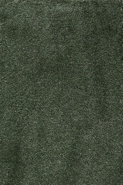 Ковровое покрытие AW Fedone 24 - (5м) в Нижнекамске