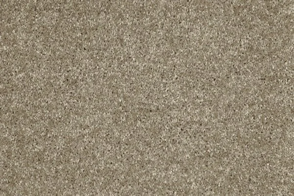 Ковровое покрытие AW Gala 33 - (4м) в Нижнекамске