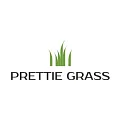 Искусственная трава Prettie Grass в Нижнекамске