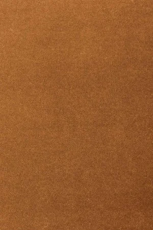 Ковровое покрытие AW Oinone 84 - (5м) в Нижнекамске