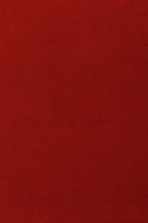 Ковровое покрытие AW Oinone 10 - (5м) в Нижнекамске