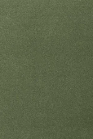 Ковровое покрытие AW Oinone 24 - (4м) в Нижнекамске