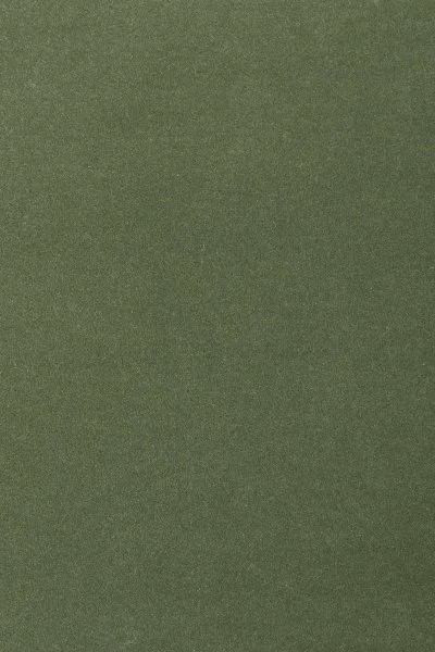 Ковровое покрытие AW Oinone 24 - (4м) в Нижнекамске