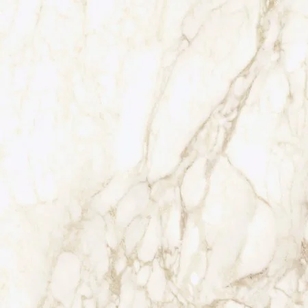 Керамогранит Coliseum Микеланджело Ворм 60х60 (Натуральный и Реттифицированный) в Нижнекамске