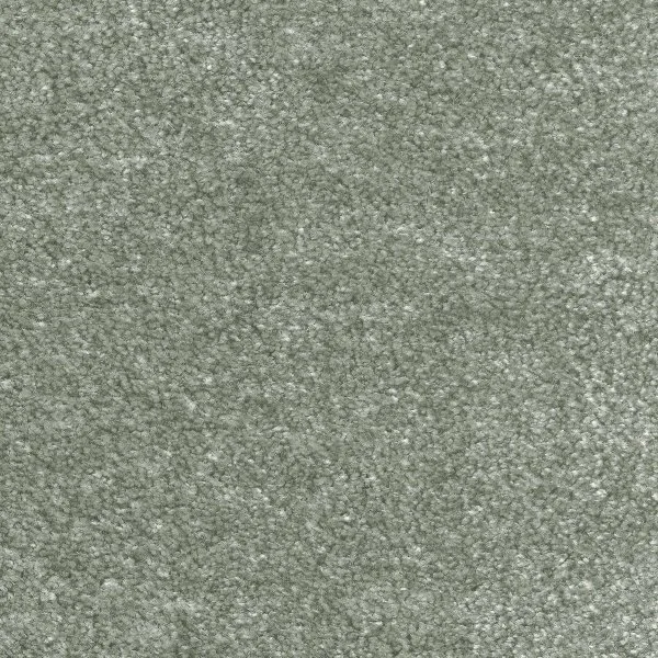 Ковровое покрытие AW Euphoria 28 - (5м) в Нижнекамске