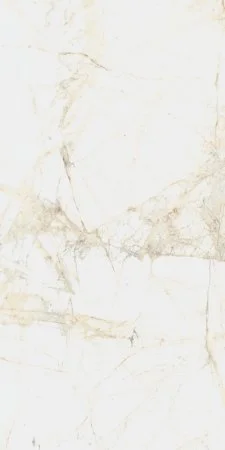 Керамогранит Coliseum Канова Уайт 60х120 (Натуральный и Реттифицированный) в Нижнекамске