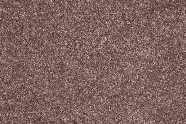 Ковровое покрытие AW Gala 60 - (5м) в Нижнекамске