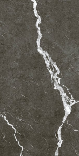 Керамогранит Coliseum Микеланджело Дарк 60х120 (Натуральный и Реттифицированный) в #REGION_NAME_DECLINE_PP#